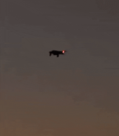 본문 이미지 - (출처=소셜미디어 엑스(X) 계정)