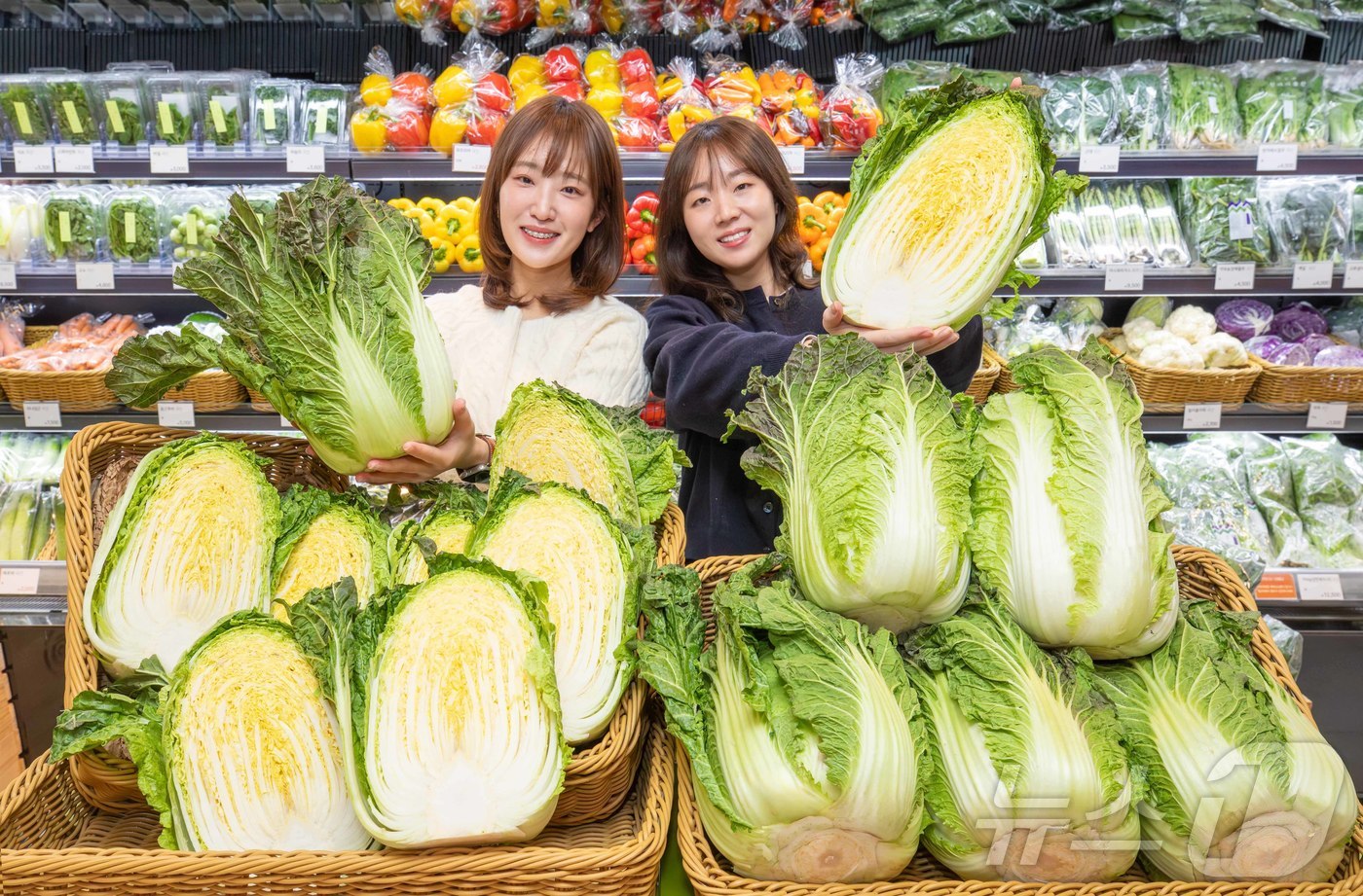 (서울=뉴스1) = 현대백화점은 오는 31일까지 압구정본점, 무역센터점, 판교점 등 전국 10개 점포 식품관에서 국내 개발한 신품종 \'아삭갓배추\'를 판매한다고 5일 밝혔다. 사 …