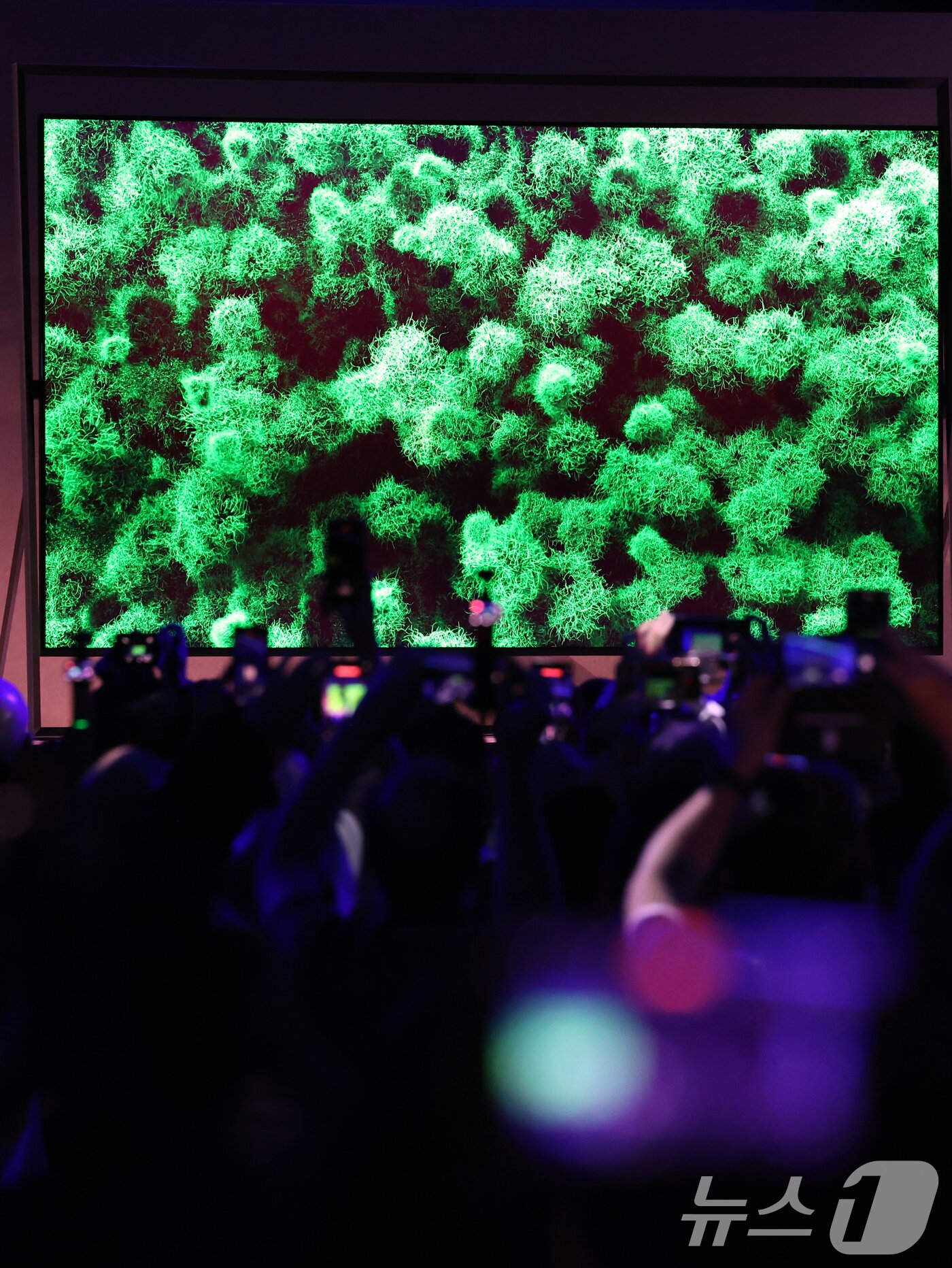 본문 이미지 - 4일(현지시간) 미국 라스베이거스 윈 호텔에서 열린 CES 2026 '더 퍼스트룩' 프레스 컨퍼런스에서 삼성전자 '130형 마이크로 RGB TV'가 공개되고 있다. 2026.1.5/뉴스1 ⓒ News1 황기선 기자