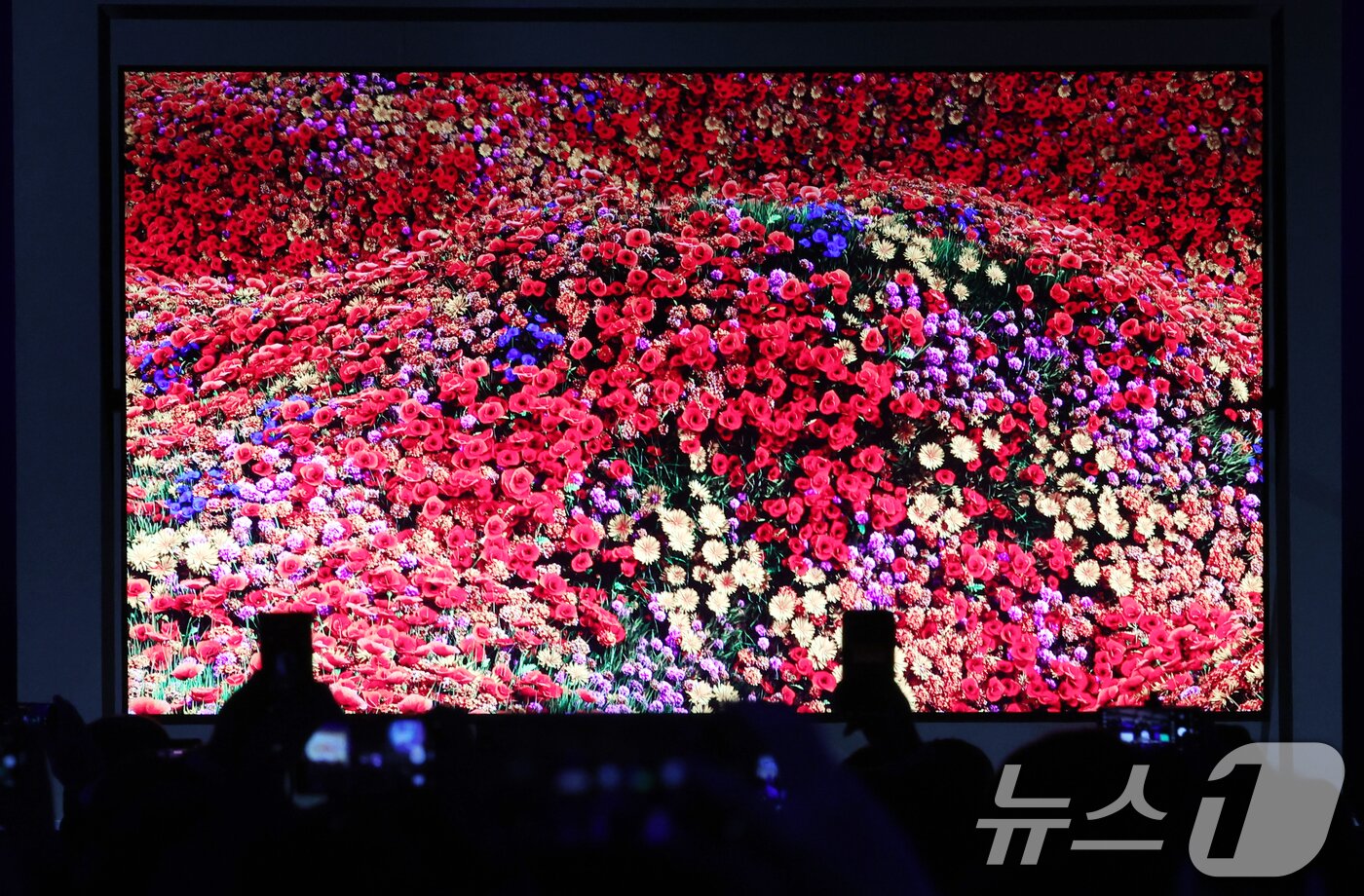 본문 이미지 - 4일(현지시간) 미국 라스베이거스 윈 호텔에서 열린 CES 2026 '더 퍼스트룩' 프레스 컨퍼런스에서 삼성전자 '130형 마이크로 RGB TV'가 공개되고 있다. 2026.1.5/뉴스1 ⓒ News1 황기선 기자