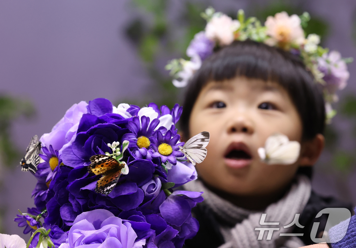 (용인=뉴스1) 김영운 기자 = 절기상 소한(小寒)인 5일 경기 용인시 처인구 에버랜드 '나비의 꿈꾸는 정원'을 방문한 아이들이 나비를 보고 있다. 2026.1.5/뉴스1