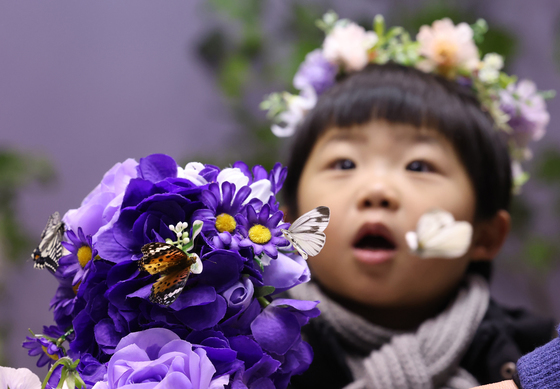[뉴스1 PICK] 나비야, 나비야 이리 날아오너라…소한 추위에 만나는 봄의 전령