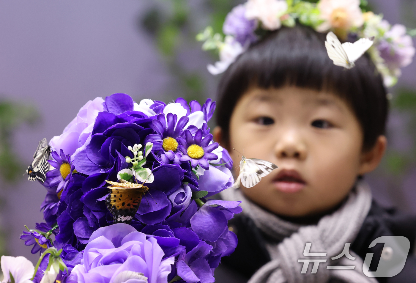 (용인=뉴스1) 김영운 기자 = 절기상 소한(小寒)인 5일 경기 용인시 처인구 에버랜드 '나비의 꿈꾸는 정원'을 방문한 아이들이 나비를 보고 있다. 2026.1.5/뉴스1