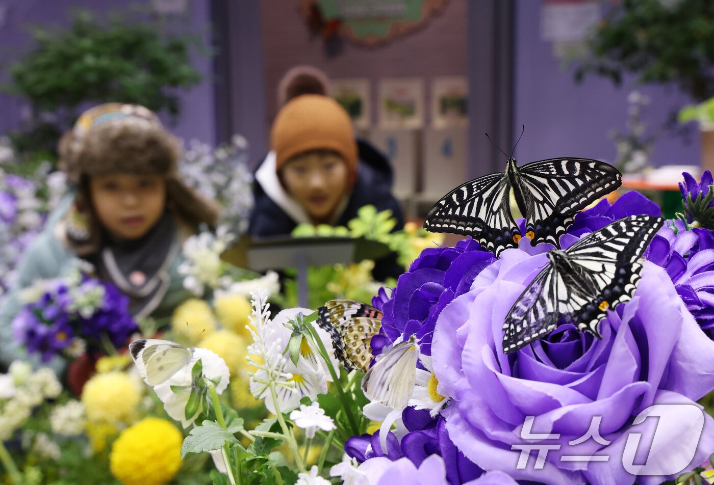본문 이미지 - 절기상 소한(小寒)인 5일 경기 용인시 처인구 에버랜드 '나비의 꿈꾸는 정원'을 방문한 아이들이 나비를 보고 있다. 2026.1.5/뉴스1 ⓒ News1 김영운 기자