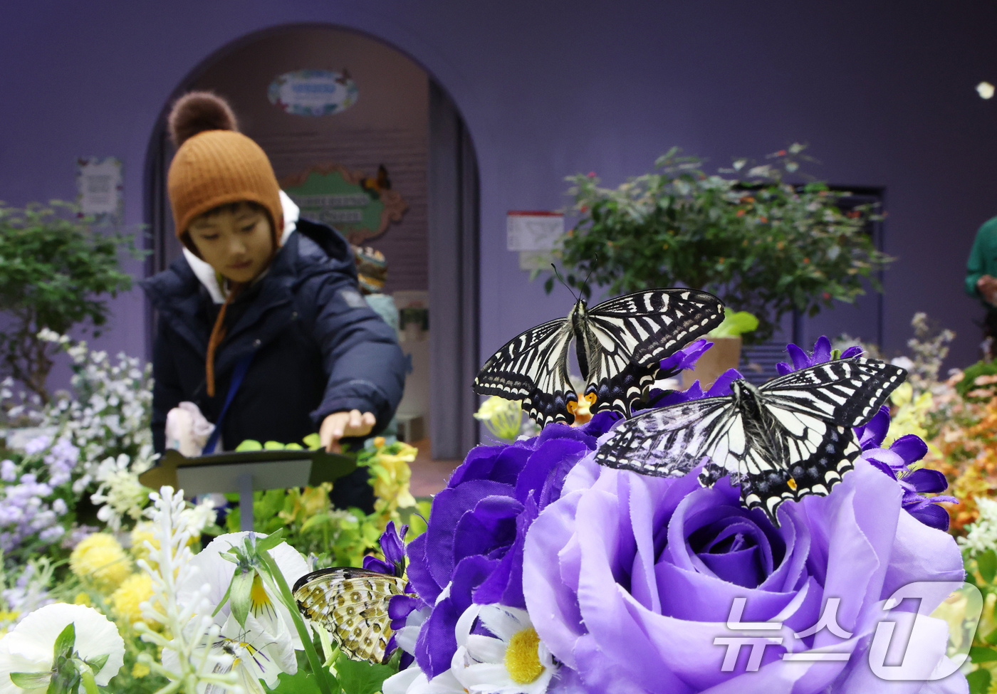(용인=뉴스1) 김영운 기자 = 절기상 소한(小寒)인 5일 경기 용인시 처인구 에버랜드 '나비의 꿈꾸는 정원'을 방문한 아이들이 나비를 보고 있다. 2026.1.5/뉴스1