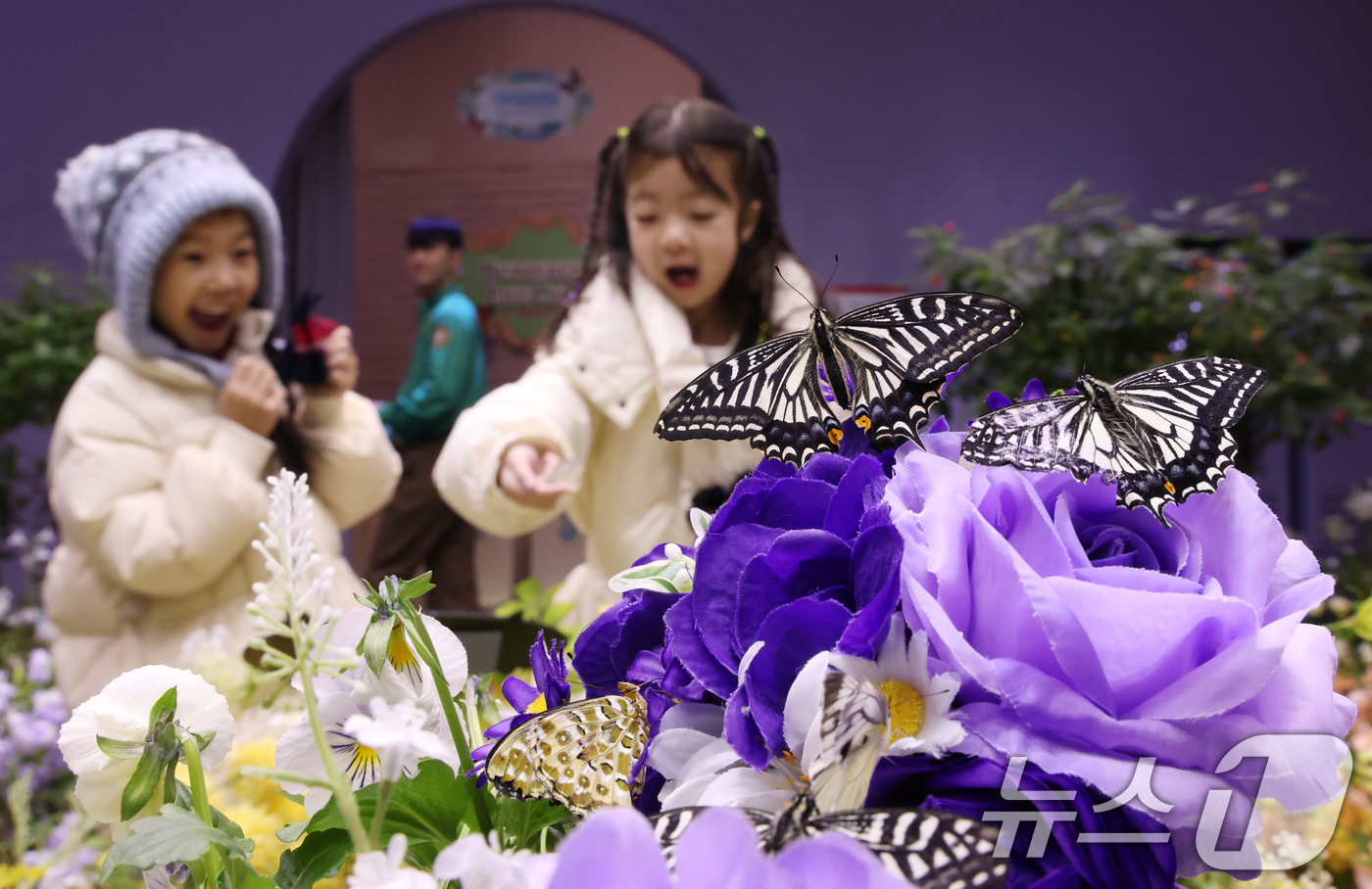 (용인=뉴스1) 김영운 기자 = 절기상 소한(小寒)인 5일 경기 용인시 처인구 에버랜드 '나비의 꿈꾸는 정원'을 방문한 아이들이 나비를 보고 있다. 2026.1.5/뉴스1