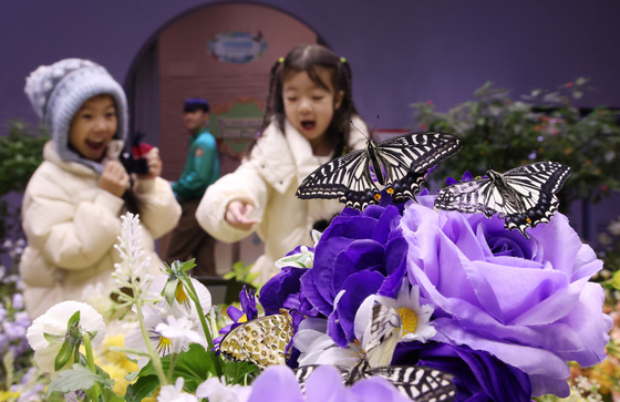 겨울에 만나는 나비