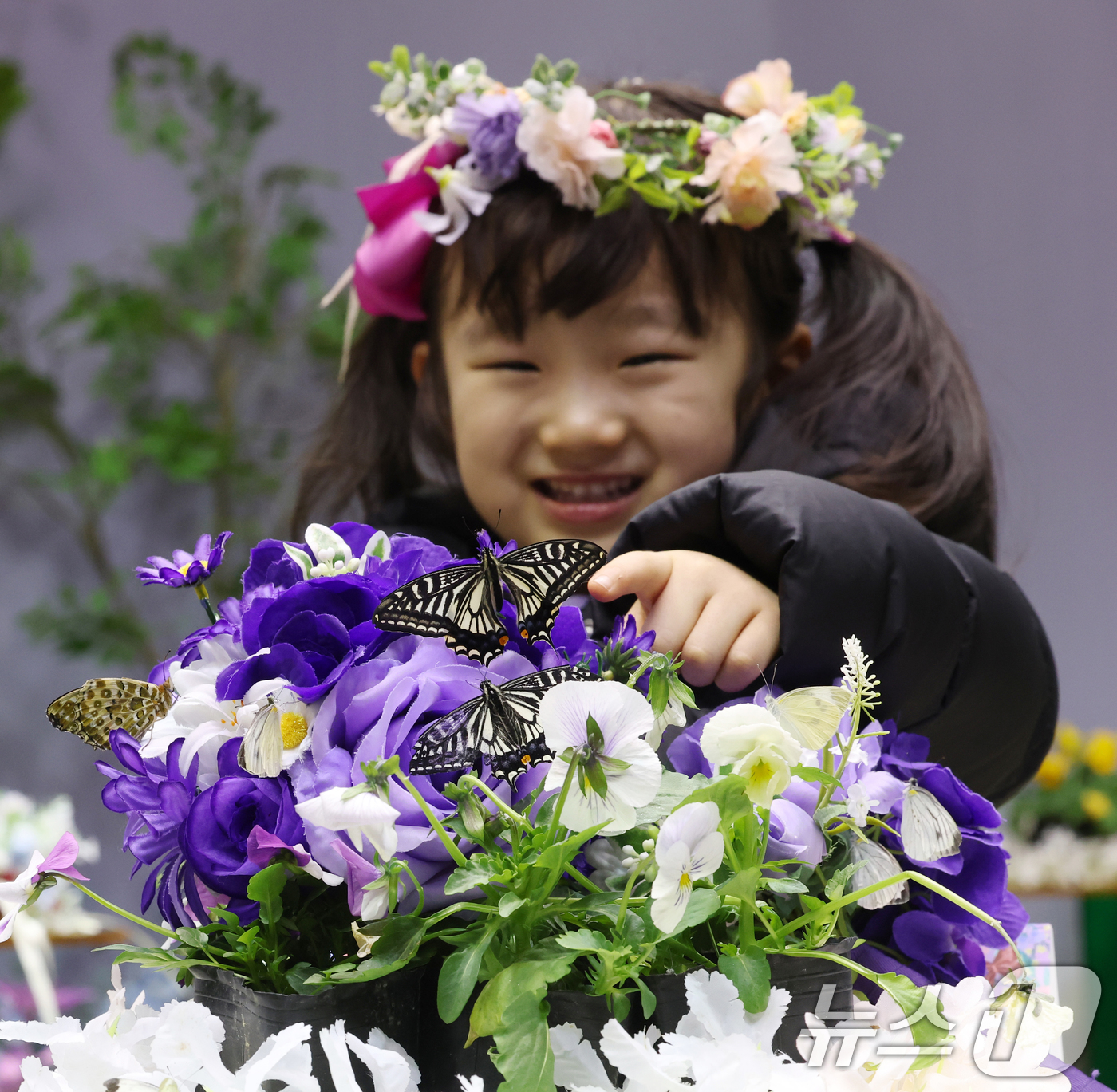 (용인=뉴스1) 김영운 기자 = 절기상 소한(小寒)인 5일 경기 용인시 처인구 에버랜드 '나비의 꿈꾸는 정원'을 방문한 아이들이 나비를 보고 있다. 2026.1.5/뉴스1