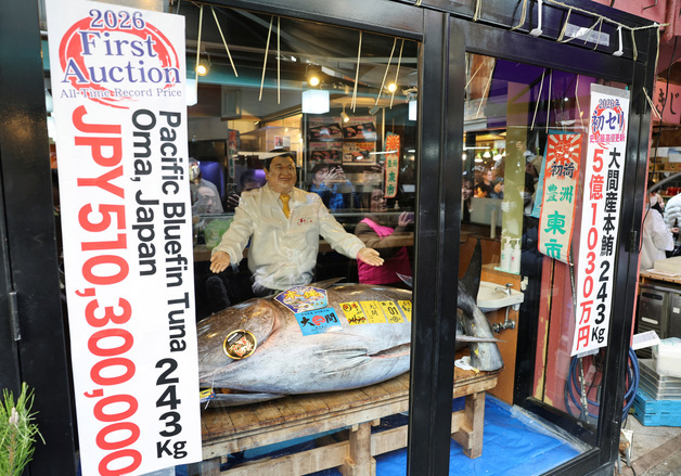 [포토] "47억원 비싼 몸"…일본 신년 첫 참치 경매