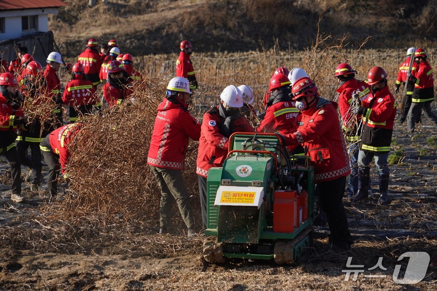 본문 이미지 - 김인호 산림청장이 직원들과 영농부산물 파쇄 작업을 하고 있다. (산림청 제공.재판매 및 DB금지)/뉴스1