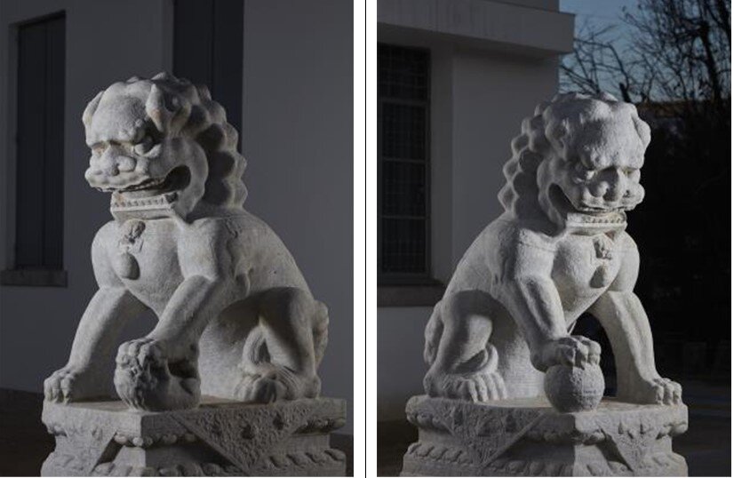 본문 이미지 - 암사자상(왼쪽)과 숫사자상(국립중앙박물관 제공)