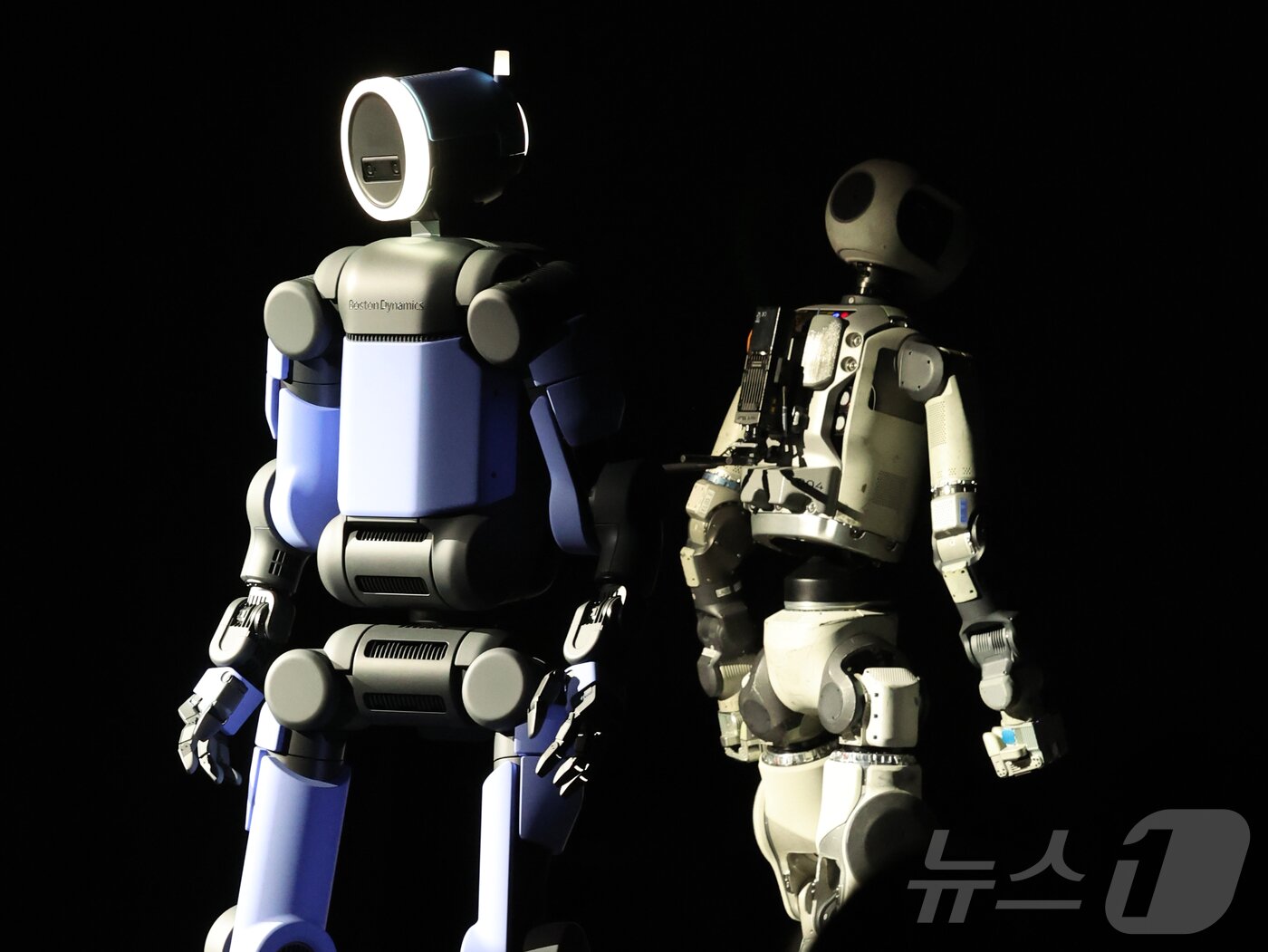 본문 이미지 - 세계 최대 가전·정보기술(IT) 전시회 'CES 2026' 개막을 하루 앞둔 5일(현지시간) 미국 네바다주 라스베이거스 만달레이베이에서 열린 현대차그룹 프레스 컨퍼런스에서 휴머노이드 아틀라스 시제품(왼쪽)과 아틀라스 개발형 모델이 무대에 공개돼 있다. 2026.1.6/뉴스1 ⓒ News1 황기선 기자