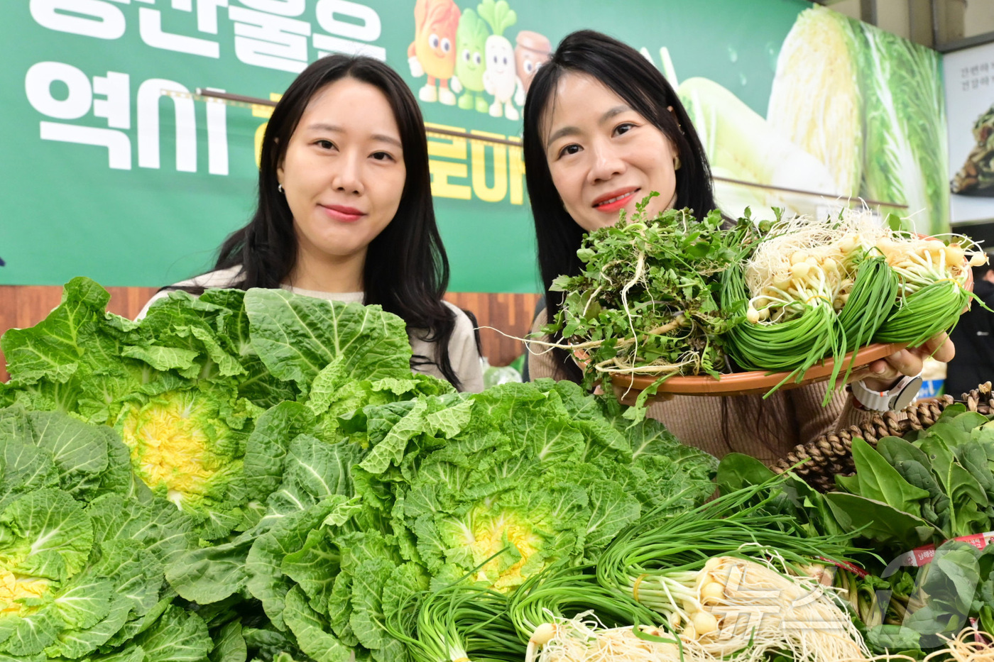 (서울=뉴스1) = 농식품 전문 매장 농협 하나로마트를 운영하는 농협유통이 6일 봄동·냉이·겨울 시금치 등 겨울철 건강을 위해 향긋한 봄나물을 추천했다. 사진은 서울 서초구 하나로 …