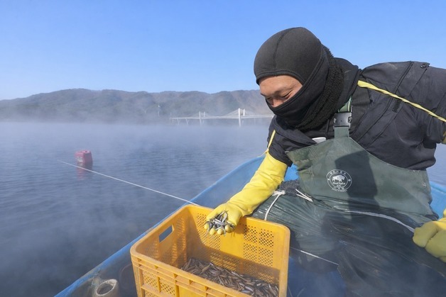 내일 아침 최저 -14도·서울 -9도, 다시 '강추위'…동부는 '건조'