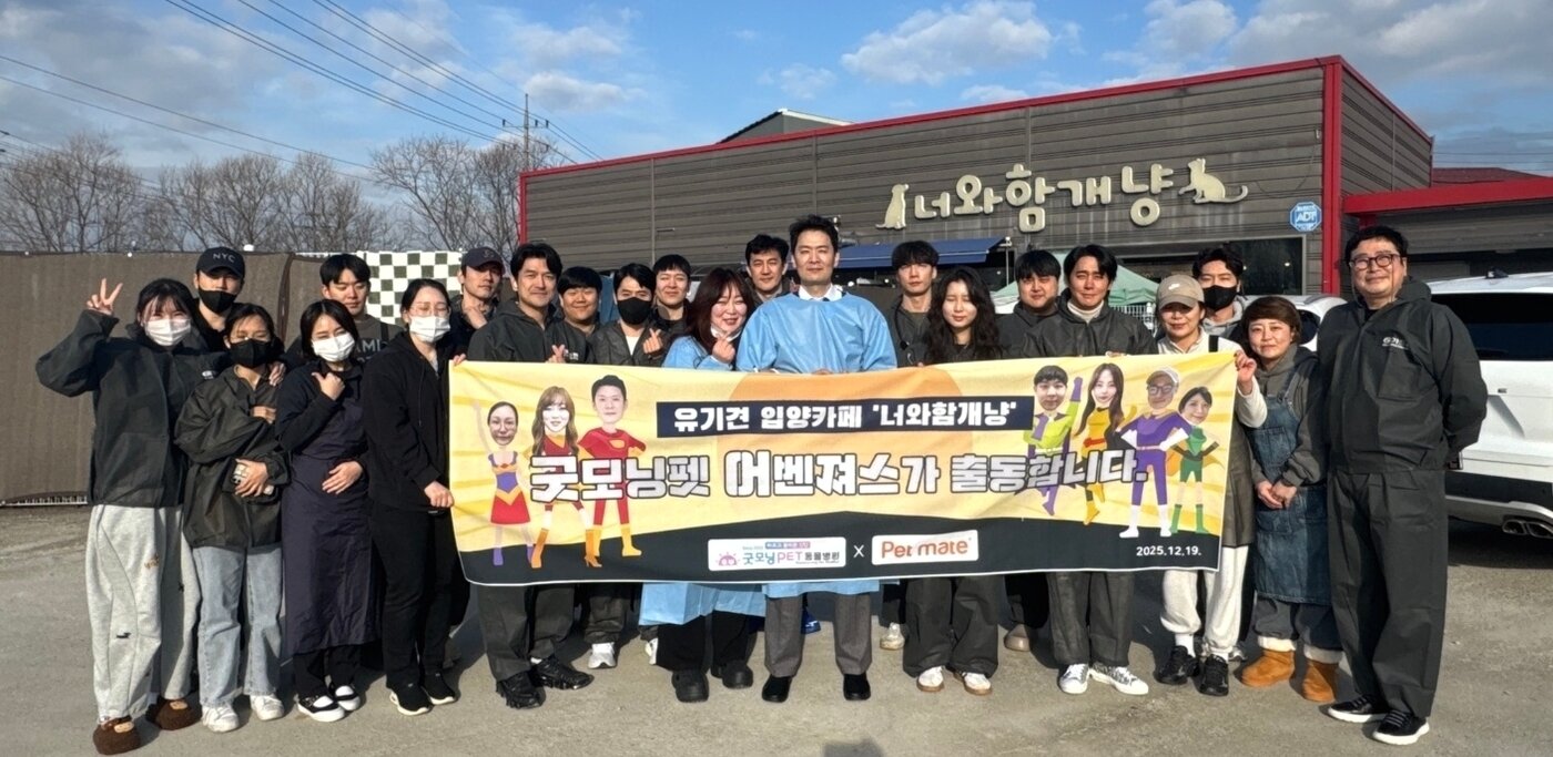 본문 이미지 - 굿모닝펫동물병원 관계자들이 너와함개냥 입양카페에서 봉사활동 후 기념 사진을 찍고 있다(병원 제공). ⓒ 뉴스1