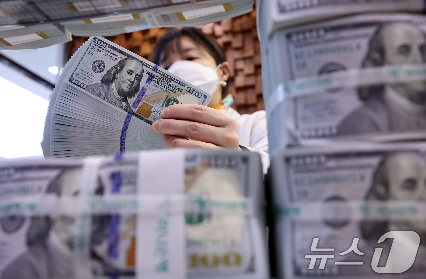 (서울=뉴스1) 박지혜 기자 = 6일 서울 중구 하나은행 위변조대응센터에서 직원이 달러화를 정리하고 있다.우리나라의 외환보유액이 6개월 연속 증가 후 지난해 12월 감소 전환하며 …
