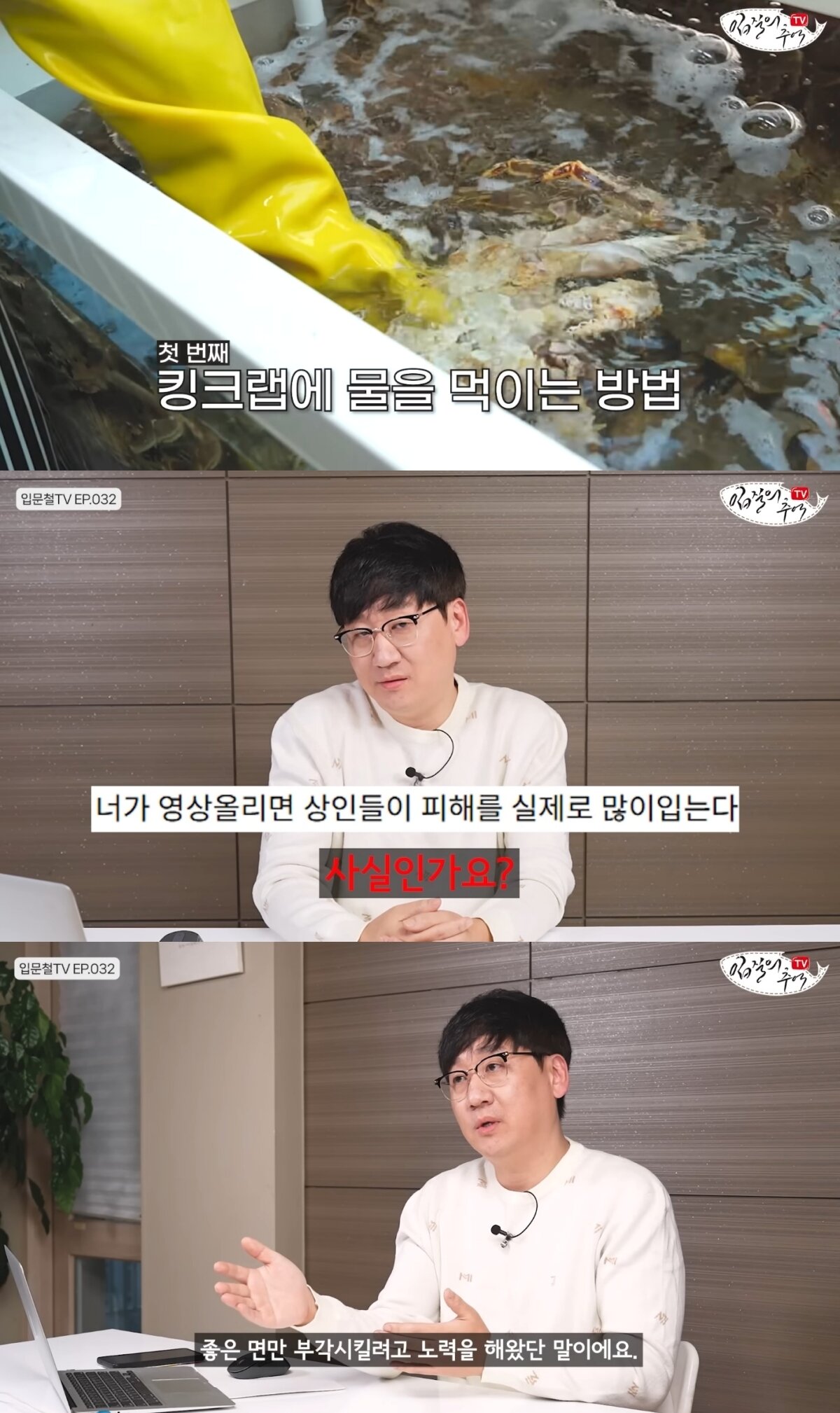 본문 이미지 - ('입질의 추억TV' 갈무리)