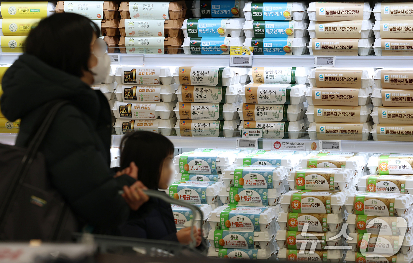 (서울=뉴스1) 오대일 기자 = 고병원성 조류 인플루엔자(AI) 확산으로 계란 수급 불안 우려가 커지는 가운데 6일 서울 시내의 한 대형마트에 계란이 진열돼 있다. 축산 유통 정보 …