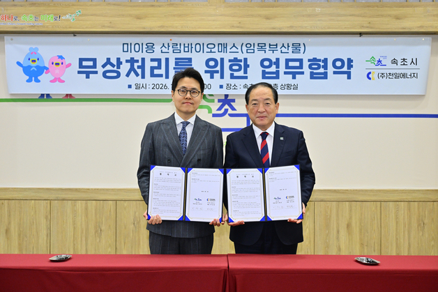 버려지던 임목폐기물 '자원화'…속초시, 친환경 에너지 전환 나서