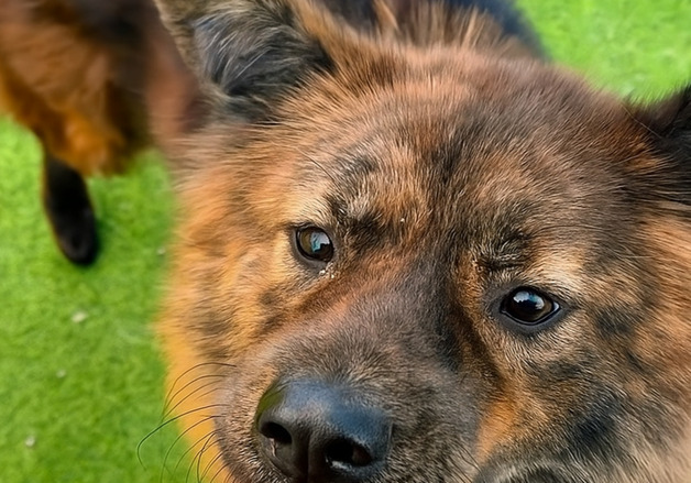 너티, 동물보호소에 사운드·하루루틴 신제품 순수익 100% 후원