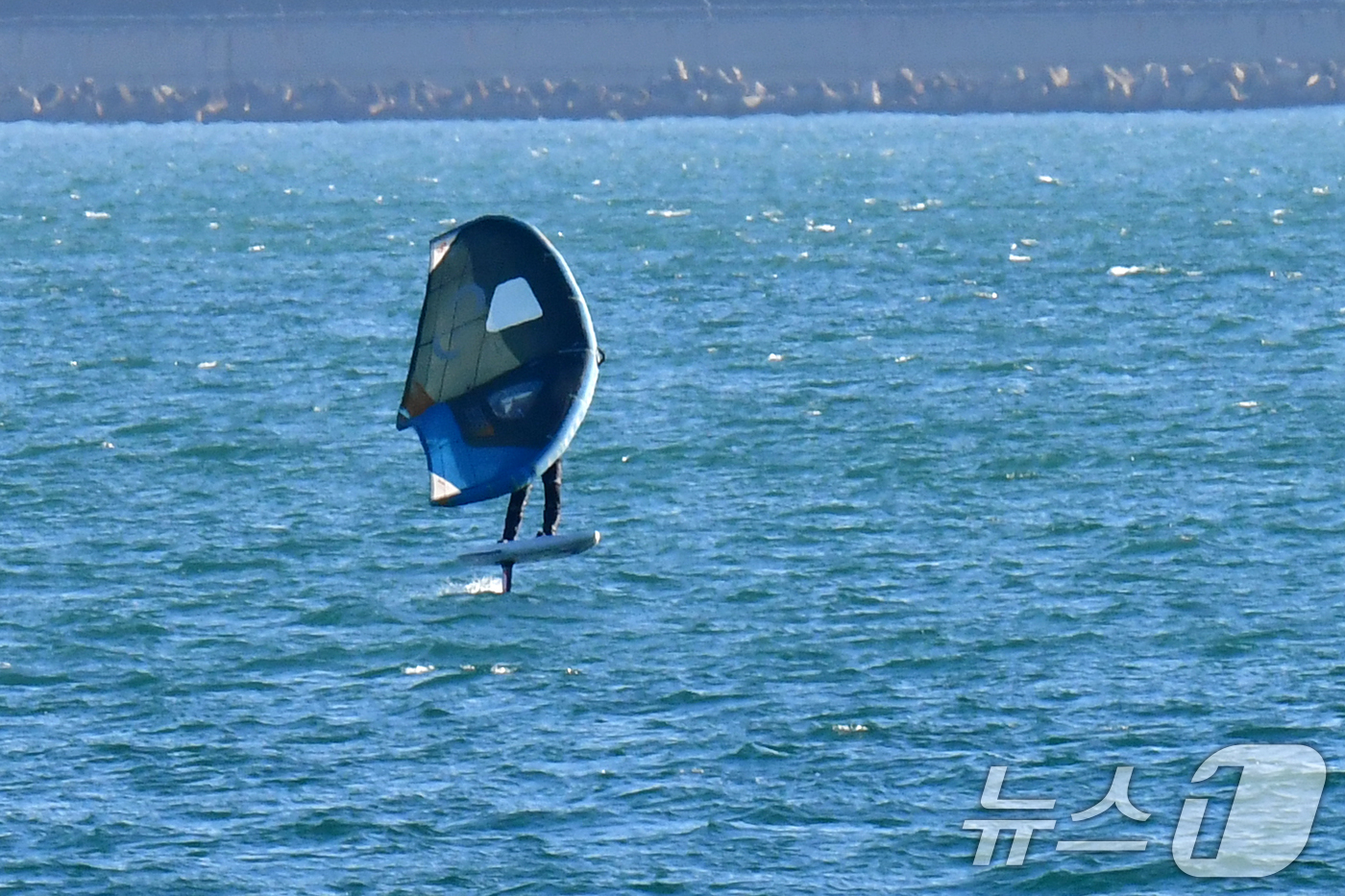 (포항=뉴스1) 최창호 기자 = 6일 오후 경북 포항시 북구 영일대해수욕장 앞 바다에서 윙서퍼가 바람을 가르며 수면 위를 달리고 있다.  2026.1.6/뉴스1