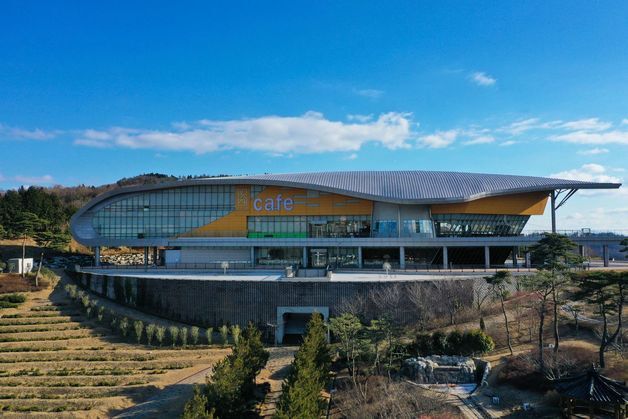 보성군 지난해 '차문화' 관광객 52만명…전년 대비 9.5%↑