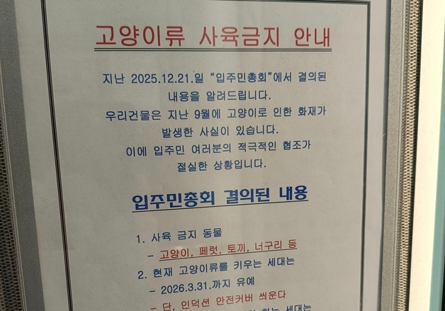 고양이 키우면 이사?…인천 오피스텔 공지에 입주민 논란