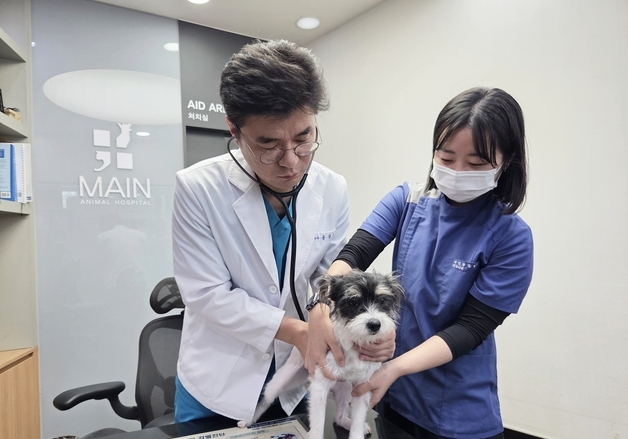 삼척서 청주까지…이사 간 보호자도 다시 찾는 1인 동물병원 비결