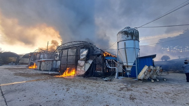 전북 남원 양계장에서 불…4000만원 재산 피해(종합)