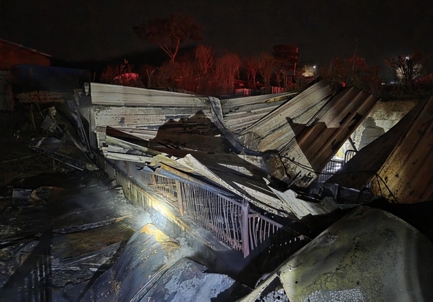 보령 천북면 돈사서 불…돼지 521마리 폐사·1억 5000만원 피해