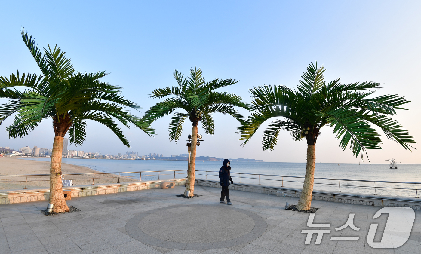 (포항=뉴스1) 최창호 기자 = 7일 경북 포항시 송도해수욕장 평화의 여신상 광장에 조성된 인공 야자수 앞에서 시민들이 아침 운동을 하고 있다. 2026.1.7/뉴스1