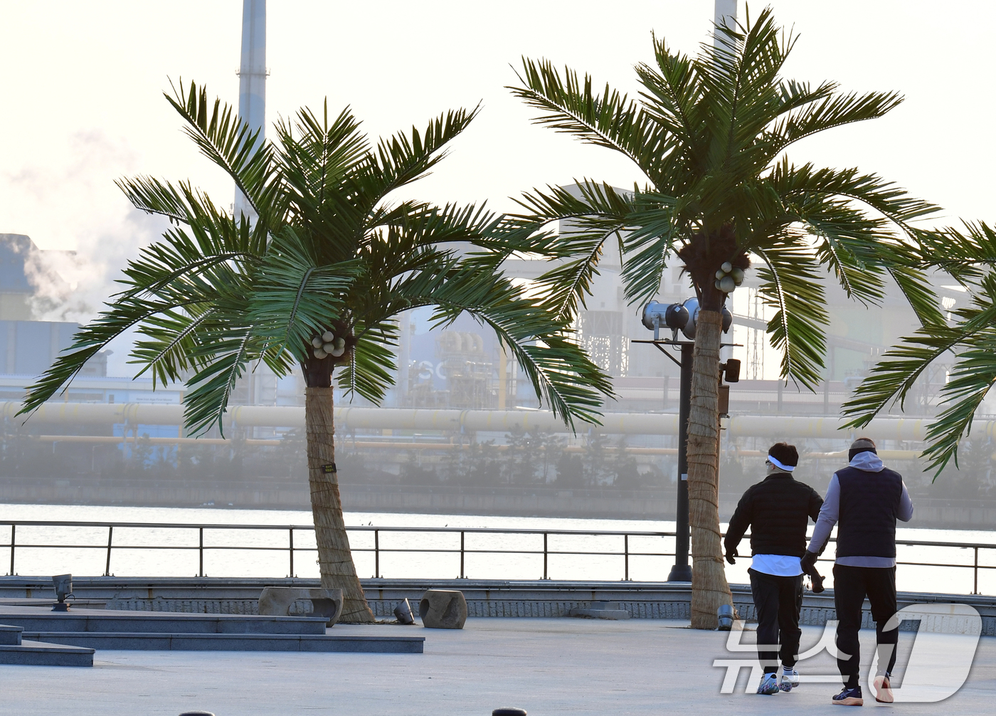 (포항=뉴스1) 최창호 기자 = 7일 경북 포항시 송도해수욕장 평화의 여신상 광장에 조성된 인공 야자수 앞에서 시민들이 아침 운동을 하고 있다. 2026.1.7/뉴스1