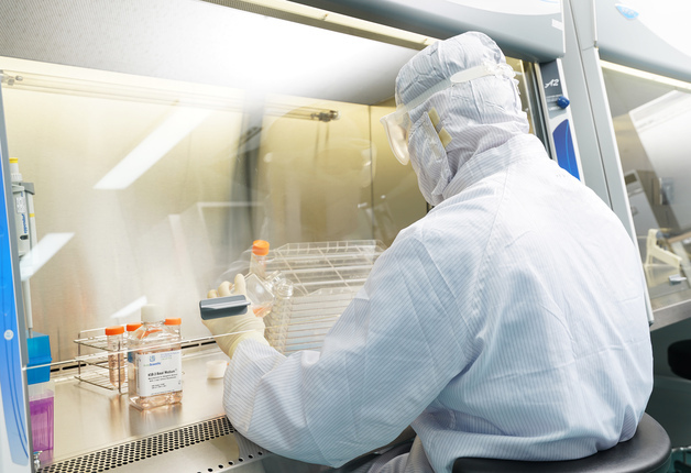 강스템바이오텍, 日서 '오가노이드 원천 기술' 특허 등록