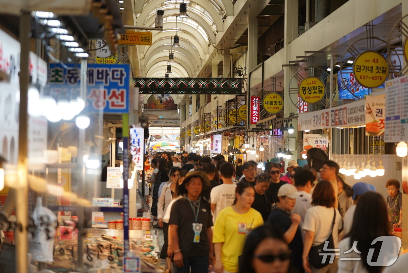 본문 이미지 - 속초관광수산시장.(속초시 제공, 재판매 및 DB 금지) 2026.1.7/뉴스1
