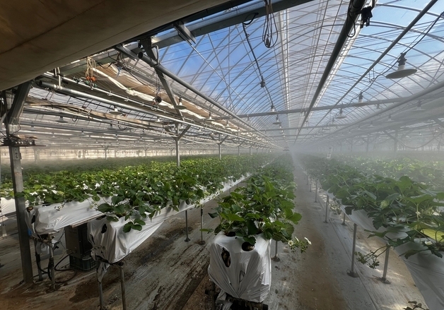 경기 광주시, 선택형 맞춤 농정사업…명품 농산물 육성 본격화