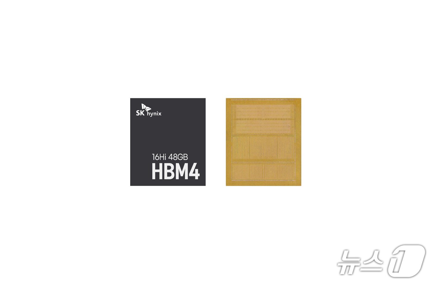 본문 이미지 - HBM4 16단 48GB(SK하이닉스 제공)