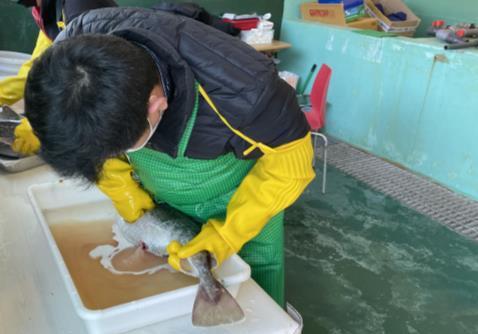 '대구 자원 회복' 경남 5개 연안 시군에 수정란·치어 방류