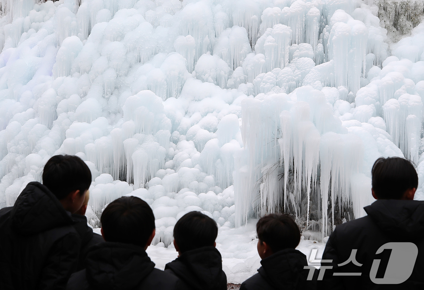 (대구=뉴스1) 공정식 기자 = 7일 오후 대구 달성군 유가읍 비슬산자연휴양림 얼음동산에 꽁꽁 언 빙벽이 장관을 이루고 있다. 2026.1.7/뉴스1