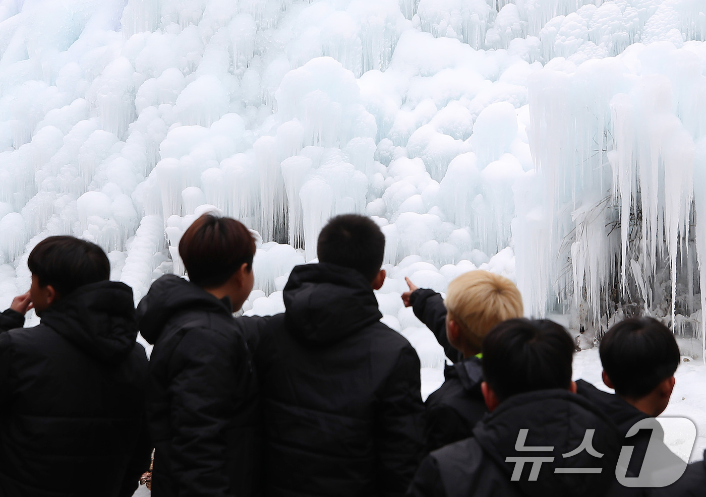 (대구=뉴스1) 공정식 기자 = 7일 오후 대구 달성군 유가읍 비슬산자연휴양림 얼음동산에 꽁꽁 언 빙벽이 장관을 이루고 있다. 2026.1.7/뉴스1