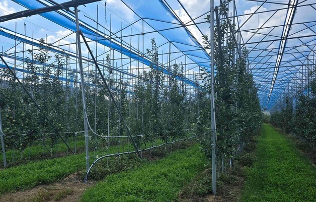 "노지 스마트기술, 경북이 선도"…이상기후·노동력 대응 모델 확산