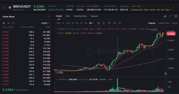 브레비스, 국내 거래소 동시 상장 전 바이낸스서 6배 폭등[특징코인]