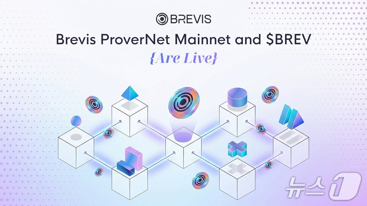 본문 이미지 - 브레비스 블로그 갈무리.