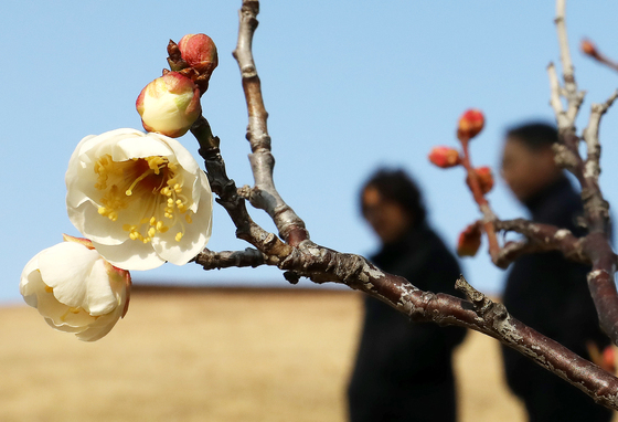 [오늘의 날씨] 부산·경남(13일, 화)…대기 건조, 강한 바람
