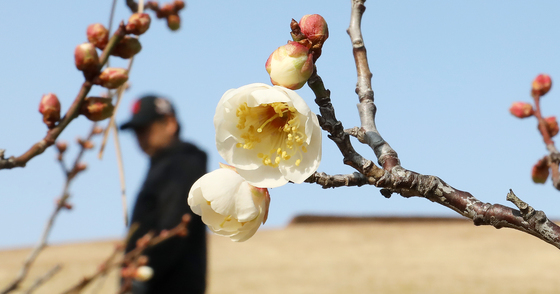 [오늘의 날씨] 부산·경남(8일, 목)…아침 최저 -9도 '강추위'