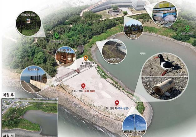 시흥시 "시화호 중심, 도시 전체를 '환경도시'로 구축 견고히"