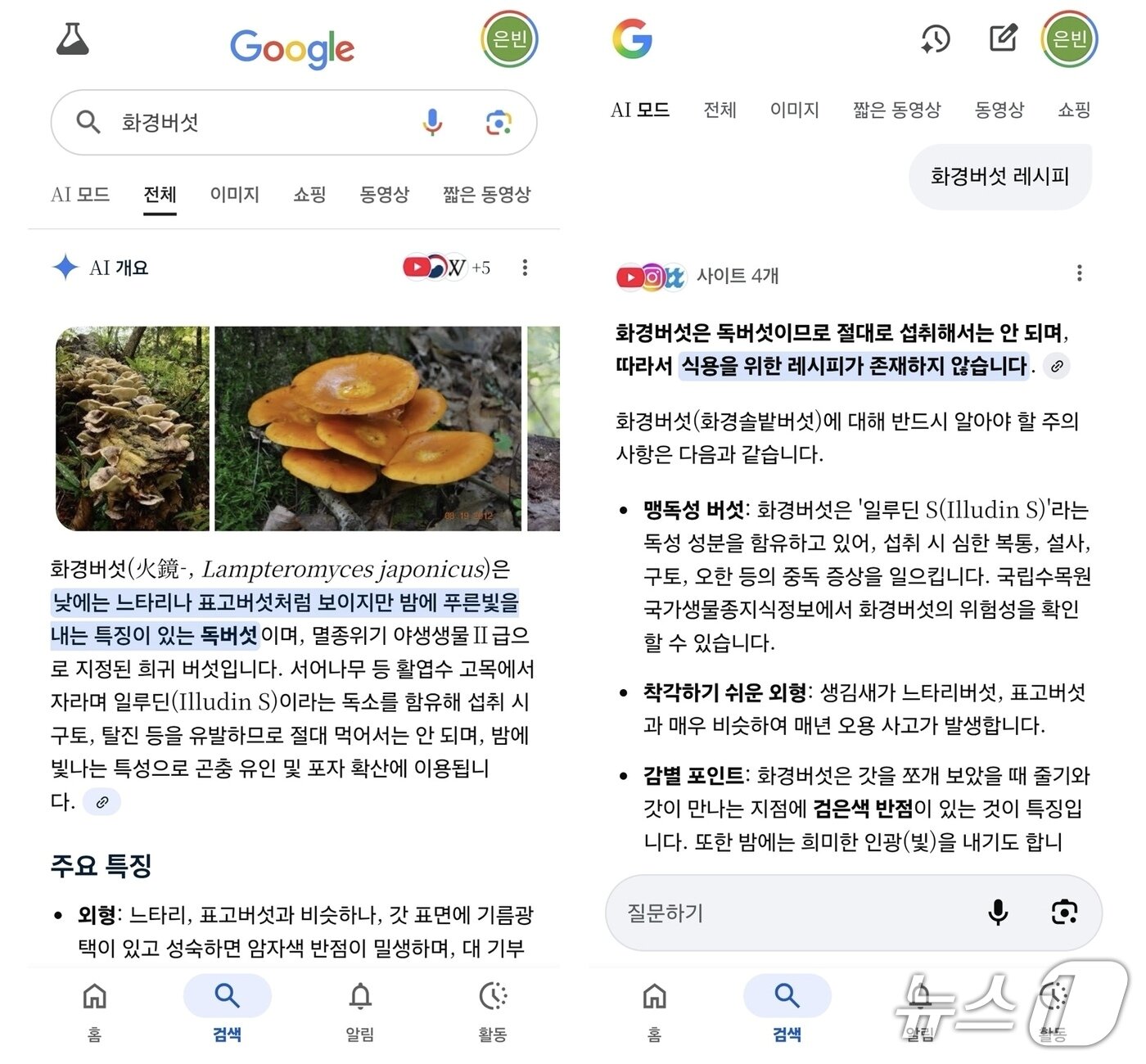 본문 이미지 - (구글 AI 개요 및 AI 모드 갈무리)