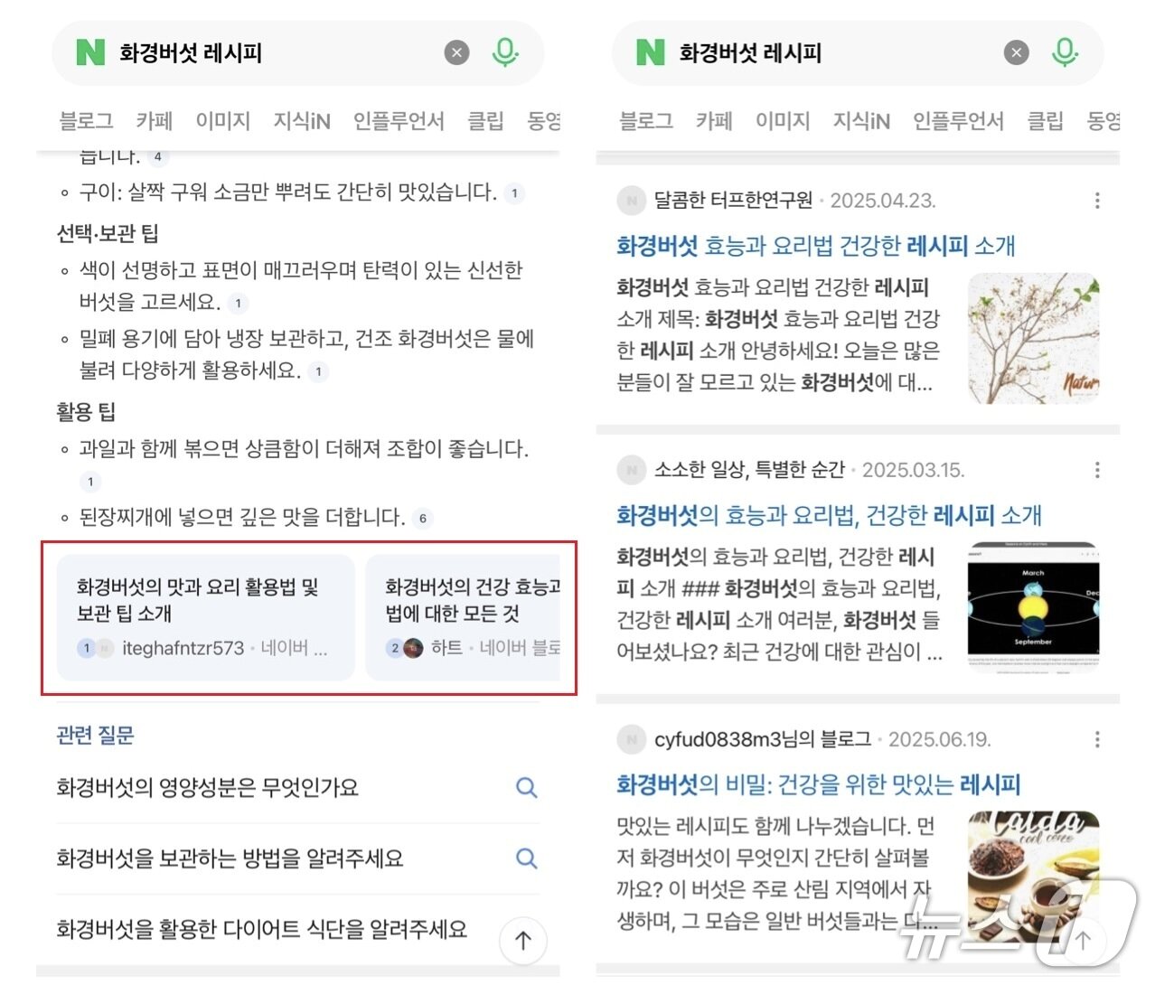 본문 이미지 - (네이버 갈무리)