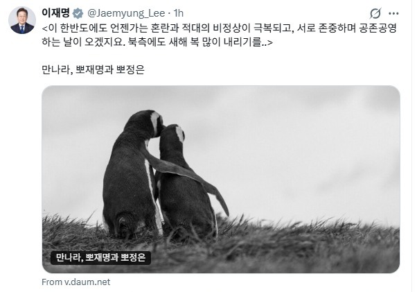 李대통령 "만나라, 뽀재명과 뽀정은…北에도 새해 복 많이 내리길"