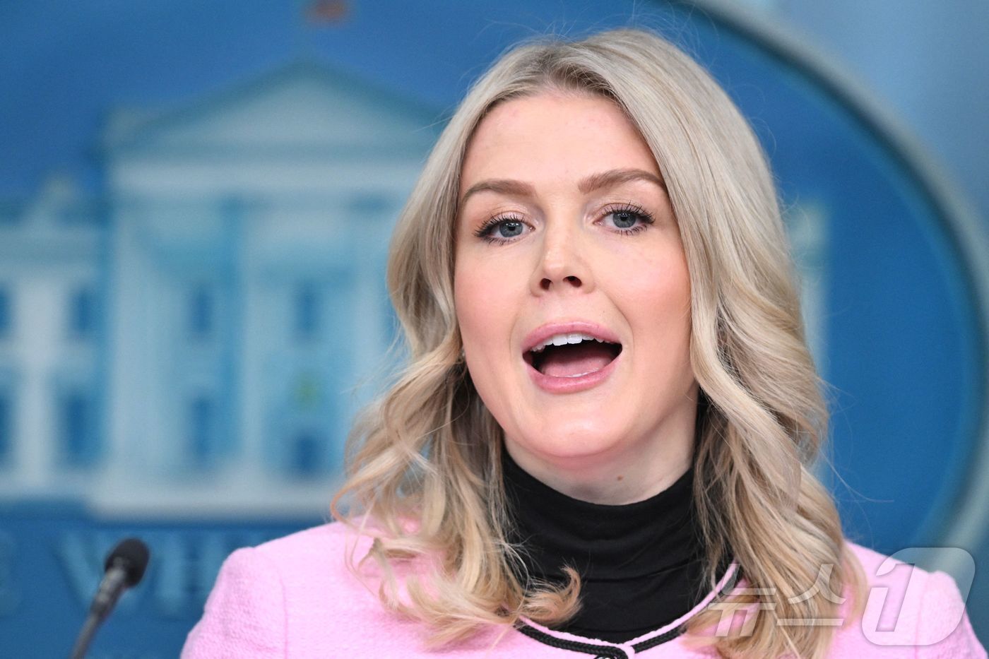 본문 이미지 - 캐롤라인 레빗 미국 백악관 대변인이 7일(현지시간) 워싱턴DC에서 정례 브리핑을 진행하고 있다. 2026.01.07. ⓒ AFP=뉴스1 ⓒ News1 류정민 특파원