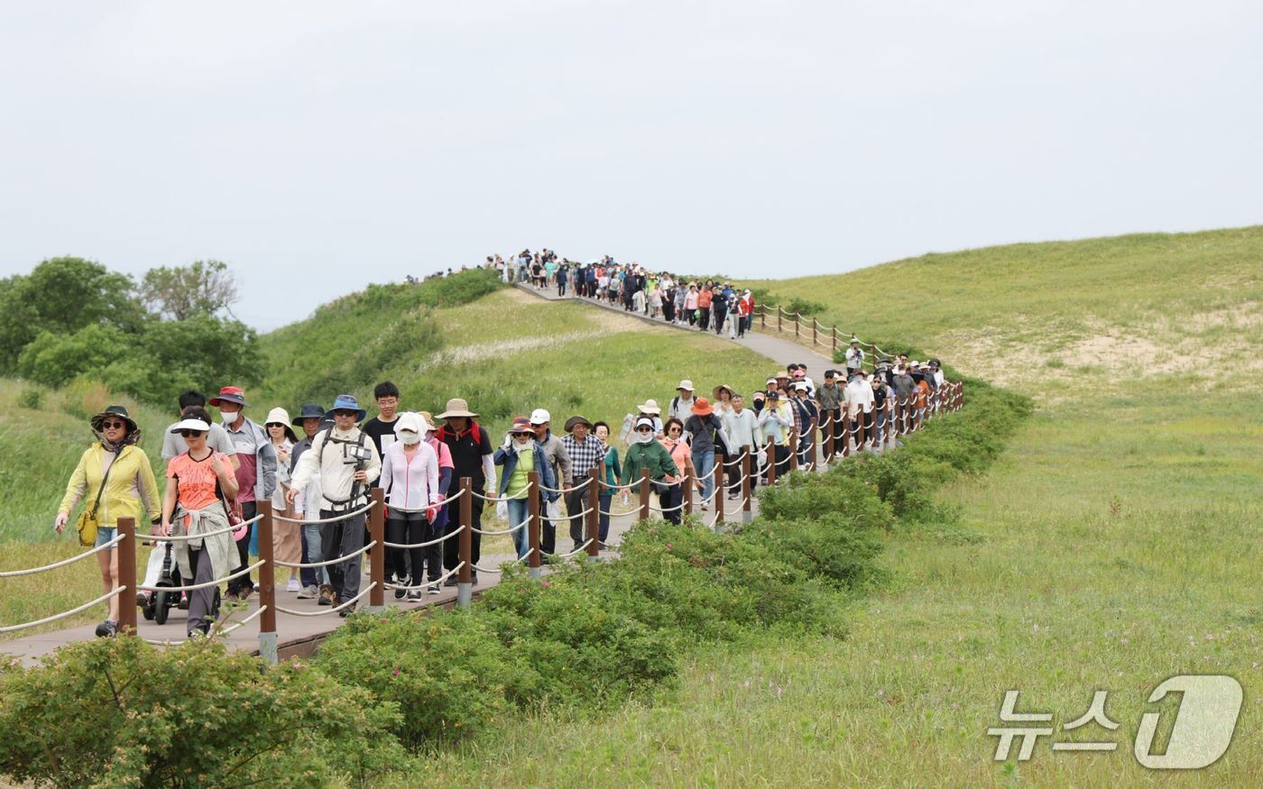 본문 이미지 - 신두리 해안사구 탐방 모습(태안군 제공. 재판매 및 DB금지)2026.1.8/뉴스1